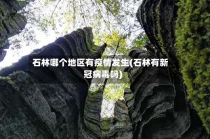 石林哪个地区有疫情发生(石林有新冠病毒吗)