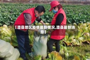 【澧县地区疫情最新情况,澧县最新消息】