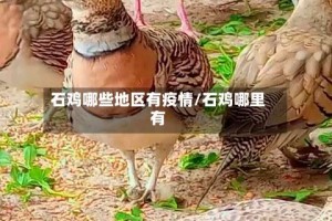 石鸡哪些地区有疫情/石鸡哪里有