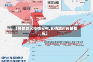 【其他地区疫情分布,其他城市疫情情况】
