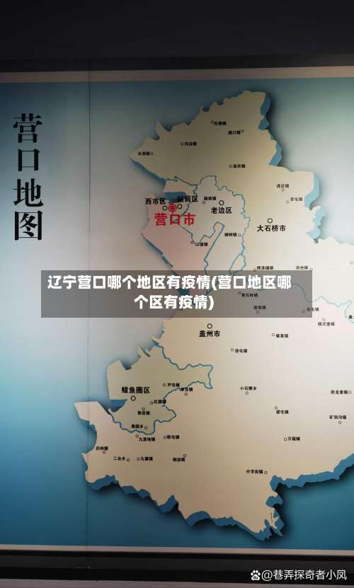 辽宁营口哪个地区有疫情(营口地区哪个区有疫情)-第2张图片
