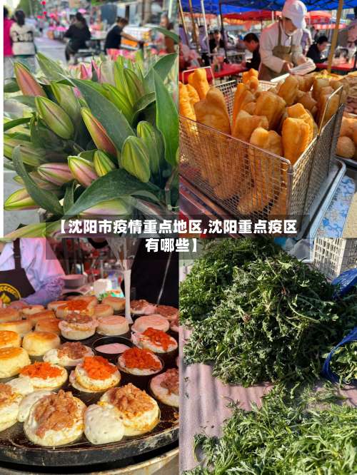 【沈阳市疫情重点地区,沈阳重点疫区有哪些】-第2张图片