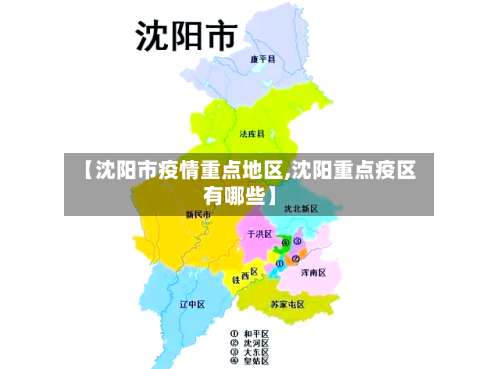 【沈阳市疫情重点地区,沈阳重点疫区有哪些】-第3张图片
