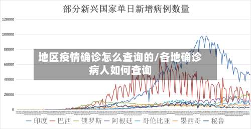 地区疫情确诊怎么查询的/各地确诊病人如何查询-第2张图片