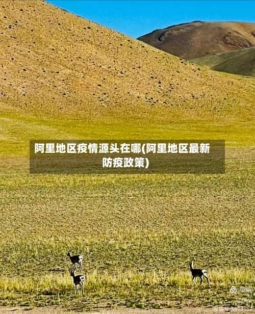 阿里地区疫情源头在哪(阿里地区最新防疫政策)-第1张图片