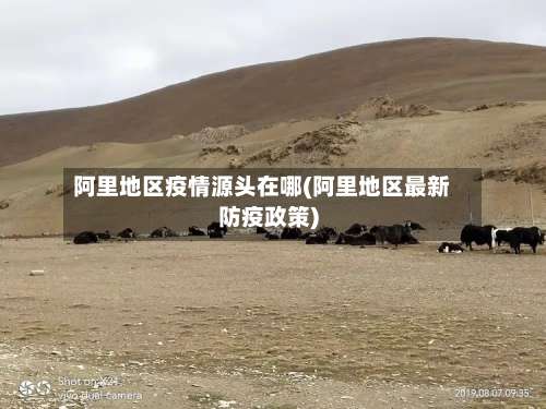 阿里地区疫情源头在哪(阿里地区最新防疫政策)-第2张图片