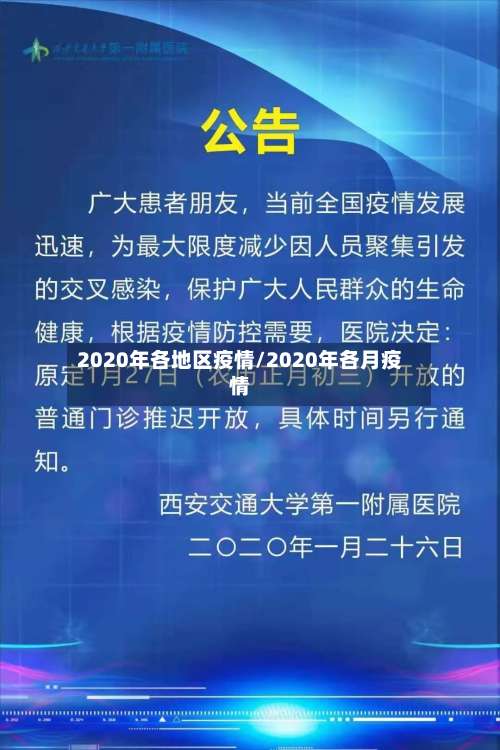 2020年各地区疫情/2020年各月疫情-第2张图片