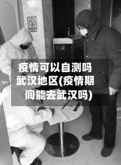 疫情可以自测吗武汉地区(疫情期间能去武汉吗)-第2张图片