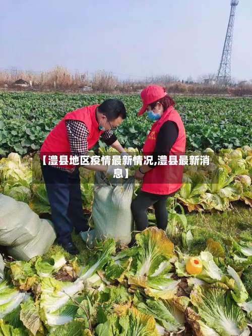 【澧县地区疫情最新情况,澧县最新消息】-第1张图片