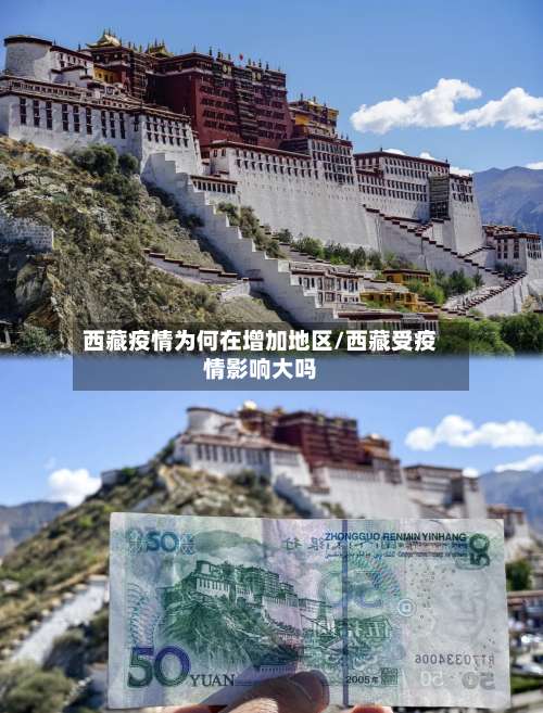 西藏疫情为何在增加地区/西藏受疫情影响大吗-第3张图片