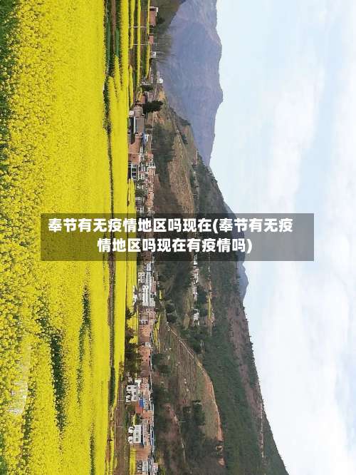 奉节有无疫情地区吗现在(奉节有无疫情地区吗现在有疫情吗)-第3张图片