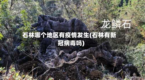 石林哪个地区有疫情发生(石林有新冠病毒吗)-第2张图片