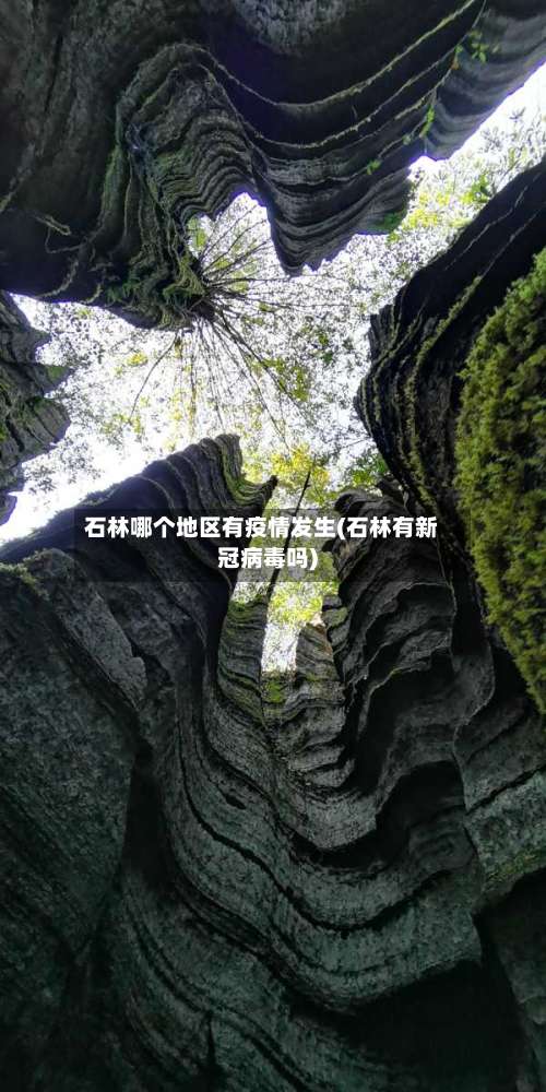 石林哪个地区有疫情发生(石林有新冠病毒吗)-第1张图片