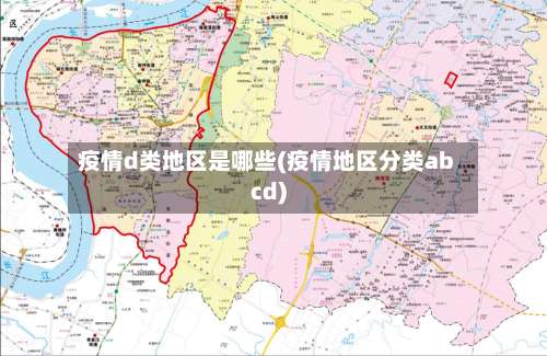 疫情d类地区是哪些(疫情地区分类abcd)-第2张图片