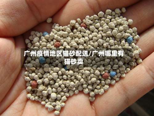 广州疫情地区猫砂配送/广州哪里有猫砂卖-第1张图片