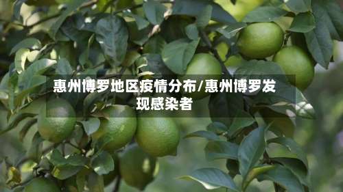 惠州博罗地区疫情分布/惠州博罗发现感染者-第2张图片