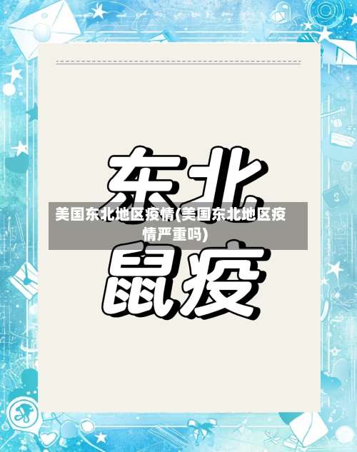 美国东北地区疫情(美国东北地区疫情严重吗)-第1张图片